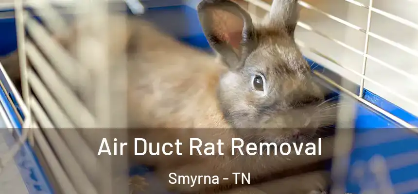  Air Duct Rat Removal Smyrna - TN