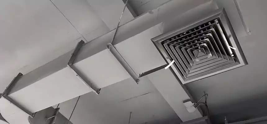 Restorative Allergy Relief Vent Cleaning – Coil, Blower & Housing Detail in Smyrna