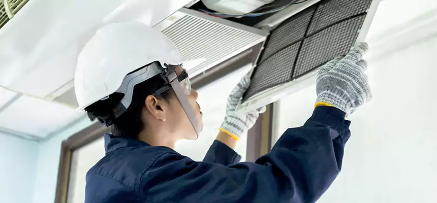 Our Mold & Mildew Removal from Air Ducts Services in Smyrna, TN