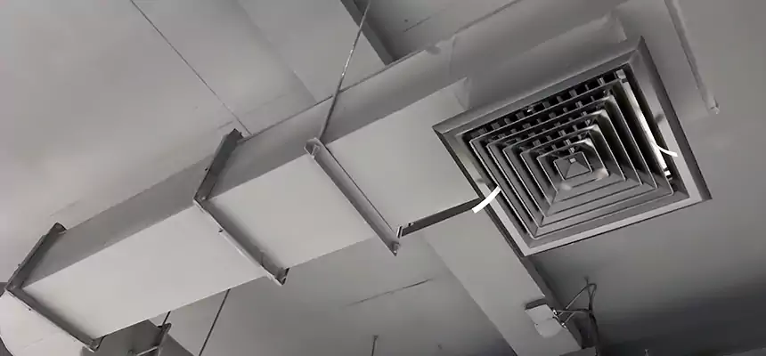 Our Pest Removal From Ducts Services in Smyrna, TN