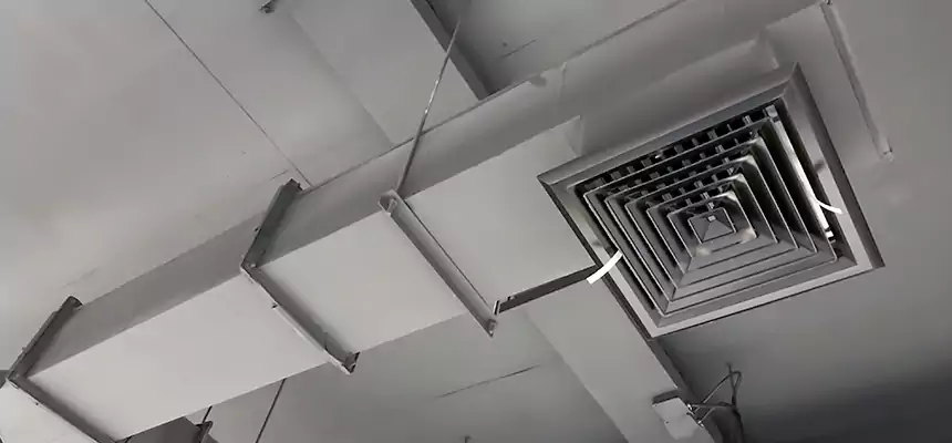 Our Rodent Droppings In Vents Services in Smyrna, TN