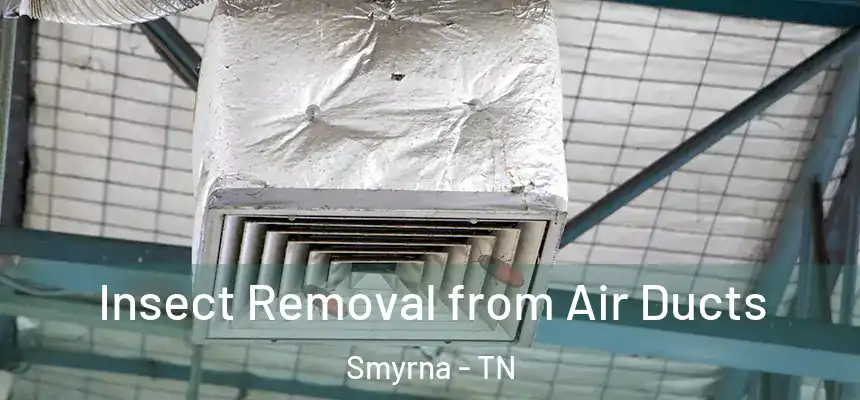  Insect Removal from Air Ducts Smyrna - TN