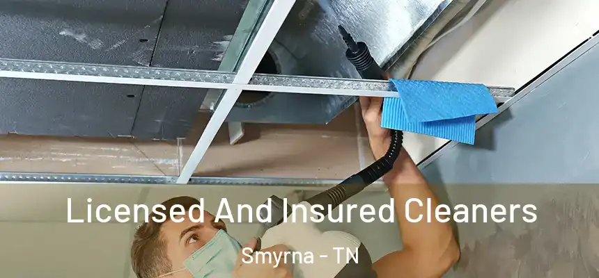Licensed And Insured Cleaners Smyrna - TN
