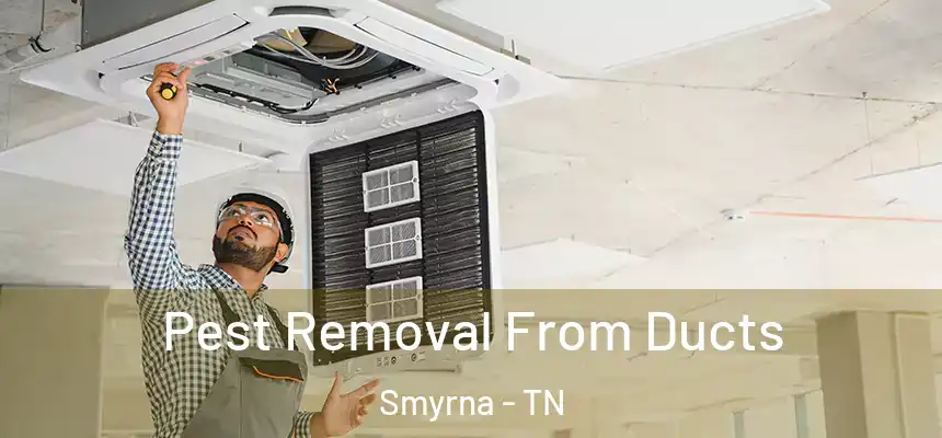  Pest Removal From Ducts Smyrna - TN