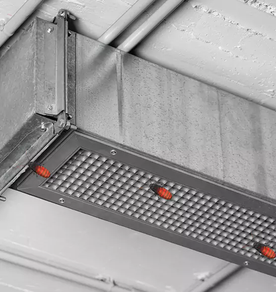 About Air Duct Cockroach Removal in Smyrna, TN