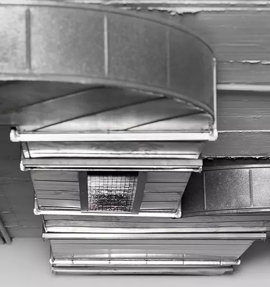 Professional Air Duct Pest Removal in Smyrna, TN