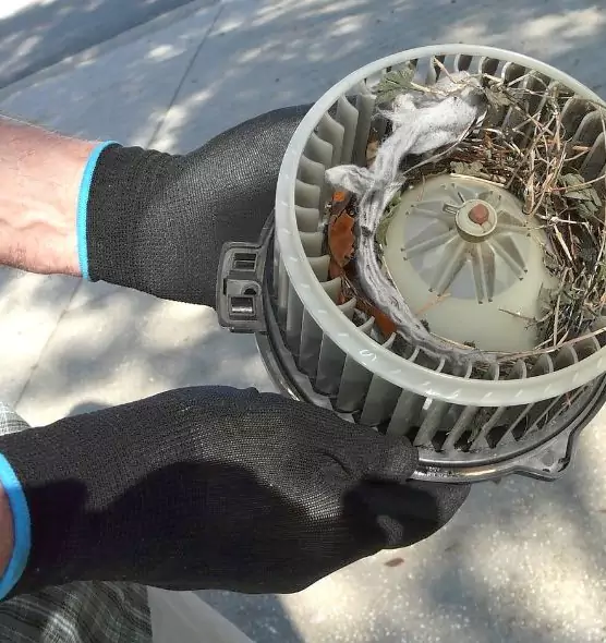 About Air Duct Rat Removal in Smyrna, TN